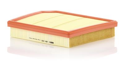 MANN-FILTER C 29 031 EAN: 4011558803483.