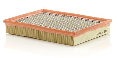 MANN-FILTER C 33 189/1 EAN: 4011558228309.