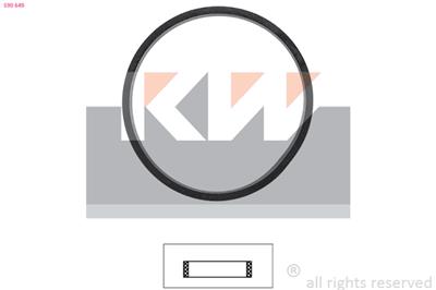 KW 590 649 Číslo výrobce: Facet 7.9649. EAN: 8012510133811.