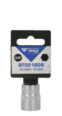 BT021809