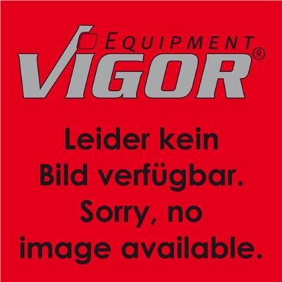 VIGOR V2198N EAN: 4047728085328.