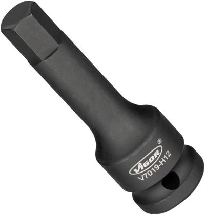 V7019-H12
