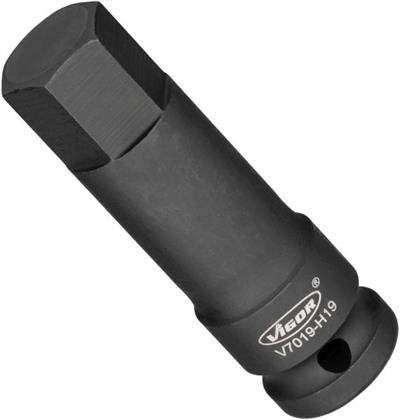 V7019-H19