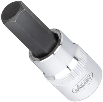 V6019