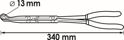 V5494