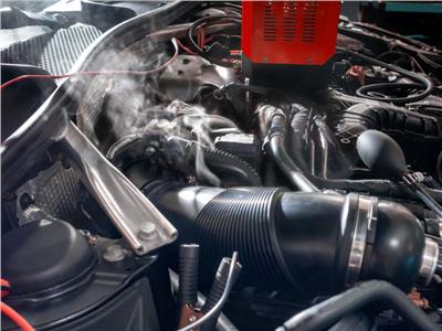 VIGOR V7524 EAN: 4047728081320.