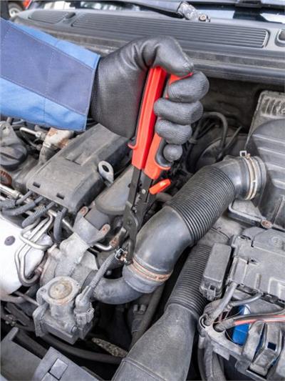 VIGOR V4640 EAN: 4047728081726.