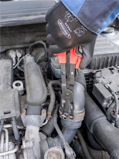 VIGOR V4640 EAN: 4047728081726.