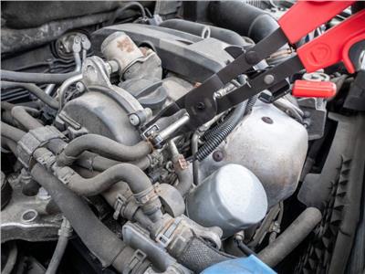 VIGOR V4640 EAN: 4047728081726.