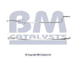 BM CATALYSTS BM50119