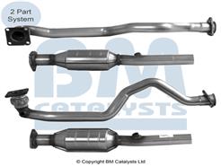 BM CATALYSTS BM90779H