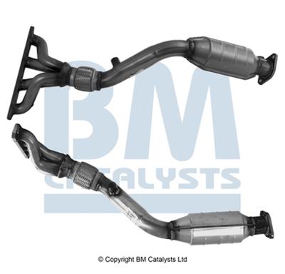 BM CATALYSTS BM91146H