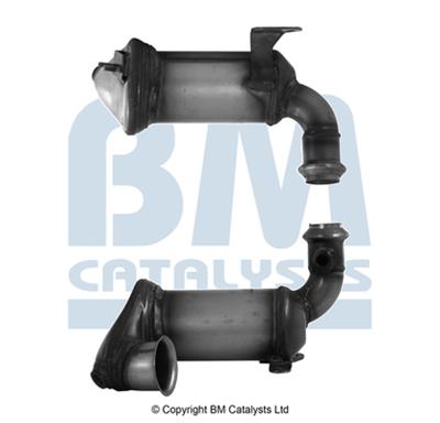 BM CATALYSTS BM92748H