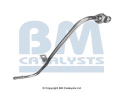 BM CATALYSTS PP11010A