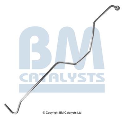 BM CATALYSTS PP11029B