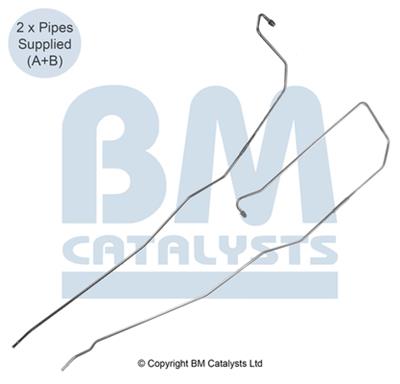 BM CATALYSTS PP11091C