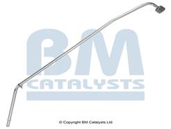 BM CATALYSTS PP11110B