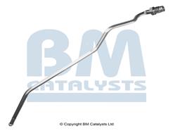 BM CATALYSTS PP11117A