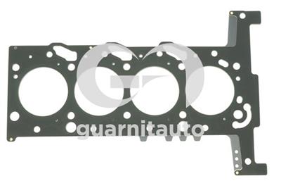 GUARNITAUTO 101519-5253