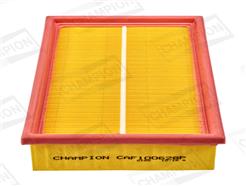 CHAMPION CAF100628P