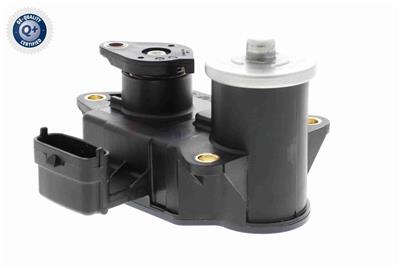 Ackoja A52-77-0001