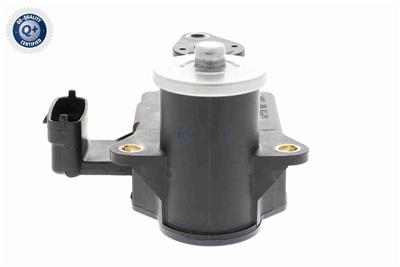 Ackoja A52-77-0001