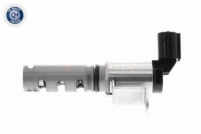 Ackoja A70-0355