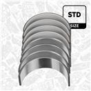 ET ENGINETEAM LP008300