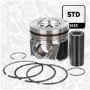 ET ENGINETEAM PM004100