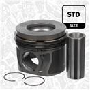 ET ENGINETEAM PM005300