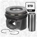 ET ENGINETEAM PM010500