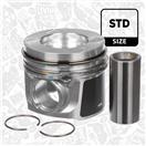 ET ENGINETEAM PM010600