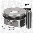 ET ENGINETEAM PM012300