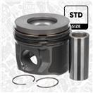 ET ENGINETEAM PM013900