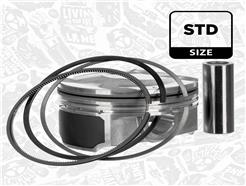 ET ENGINETEAM PM015700