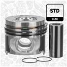 ET ENGINETEAM PM016100