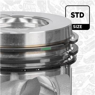 ET ENGINETEAM PM016100