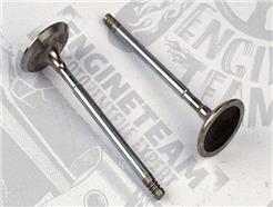 ET ENGINETEAM VI0029