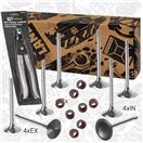 ET ENGINETEAM VS0009VR1