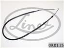 LINEX 09.01.25