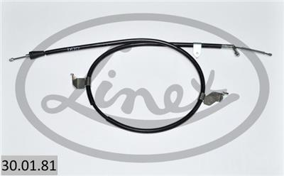 LINEX 30.01.81 EAN: 5907668238637.