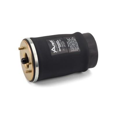 Arnott A-2502 EAN: 815710010634.