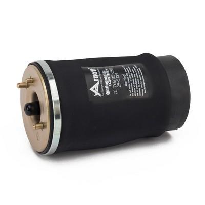 Arnott A-2504 EAN: 815710010658.