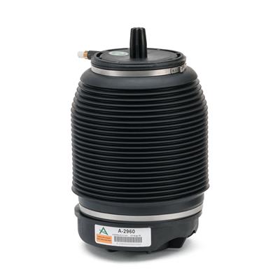 Arnott A-2960 EAN: 815710015295.