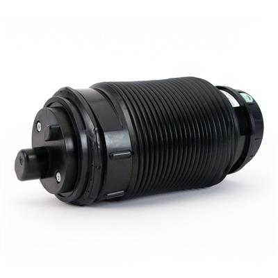 Arnott A-3315 EAN: 815710018852.