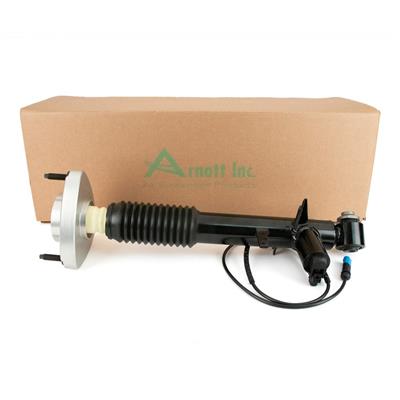 Arnott SK-3817 EAN: 815710023849.