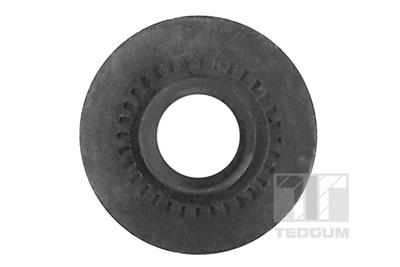 TEDGUM 00221952 EAN: 5908229957790.