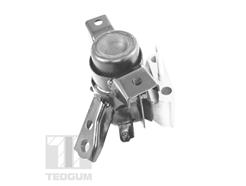 TEDGUM TED13922