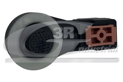 3RG 24307