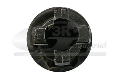 3RG 25567